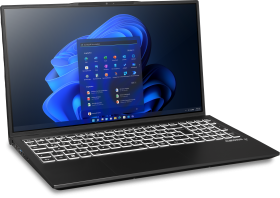 exone go Premico 1580 X13